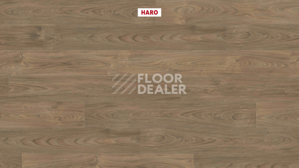 Ламинат Haro Tritty 200 Aqua 4V Вяз Варио 544784 фото 2 | FLOORDEALER