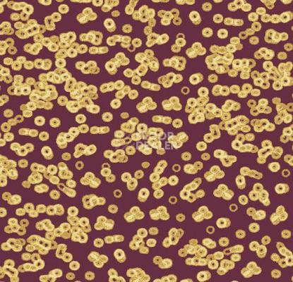 Ковролин Forbo Flotex Sottsass Bacteria 990501 фото 1 | FLOORDEALER