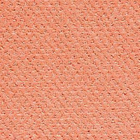 Balta ITC Saphir 52 фото 1 | FLOORDEALER