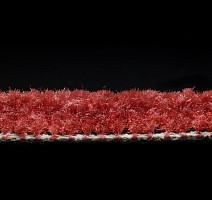 AW Masquerade Messalina 10 фото 4 | FLOORDEALER