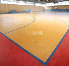 Forbo Marmoleum Sport 83215 фото 1 | FLOORDEALER