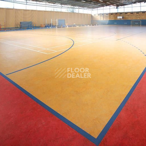 Forbo Marmoleum Sport 83215 фото 1 | FLOORDEALER