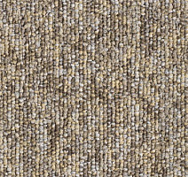 Ковровая плитка Balsan Pilote 2 Loop 917 фото 1 | FLOORDEALER