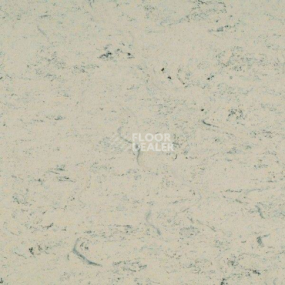 Линолеум Marmorette PUR 125-052 фото 1 | FLOORDEALER