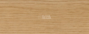 Плинтус Dollken EP 60/13 2519 фото 2 | FLOORDEALER