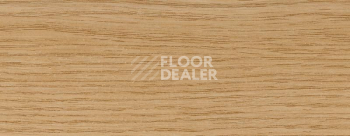 Плинтус Dollken EP 60/13 2519 фото 2 | FLOORDEALER