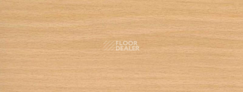 Плинтус Dollken EP 60/13 2422 фото 2 | FLOORDEALER