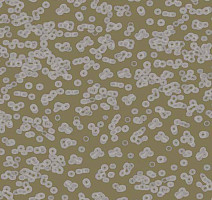 Ковролин Flotex Sottsass Bacteria 990401 фото 1 | FLOORDEALER