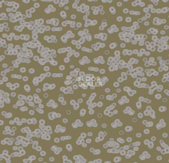 Ковролин Flotex Sottsass Bacteria 990401 фото 1 | FLOORDEALER
