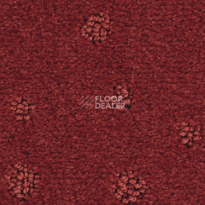 Ковролин Balsan Atoll 571 фото 1 | FLOORDEALER