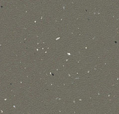 Линолеум Forbo SureStep Laguna 178872 earth фото 1 | FLOORDEALER