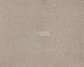 Ковролин Lano Celeste 260 Camel фото 1 | FLOORDEALER