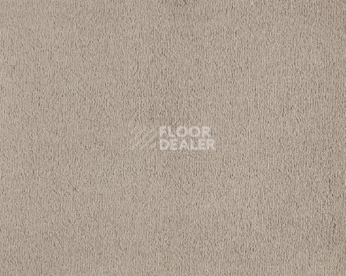 Ковролин Lano Celeste 260 Camel фото 1 | FLOORDEALER