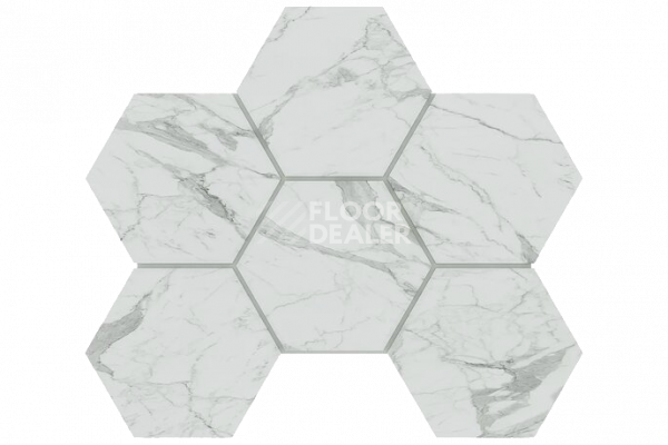 Керамогранит Montis Мозаика Hexagon 25x28,5 Мозаика MN01 Hexagon 25x28,5 непол. фото 1 | FLOORDEALER