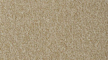 Ковролин Vorwerk Passion 1005 Vorwerk 8j04 фото 1 | FLOORDEALER