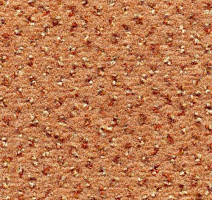 Ковролин Condor Carpets Argus 204 фото 1 | FLOORDEALER