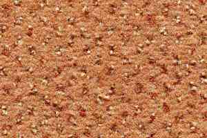 Ковролин Condor Carpets Argus 204 фото  | FLOORDEALER