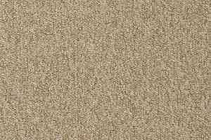 Ковролин Vorwerk Passion 1005 Vorwerk 8j04 фото  | FLOORDEALER