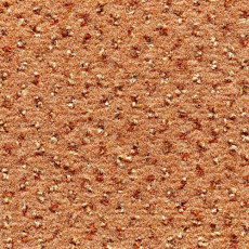 Ковролин Condor Carpets Argus 204 фото 1 | FLOORDEALER