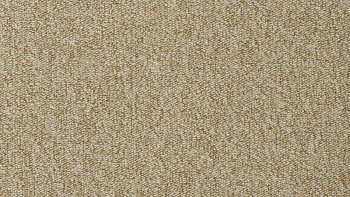 Ковролин Vorwerk Passion 1005 Vorwerk 8j04 фото 1 | FLOORDEALER