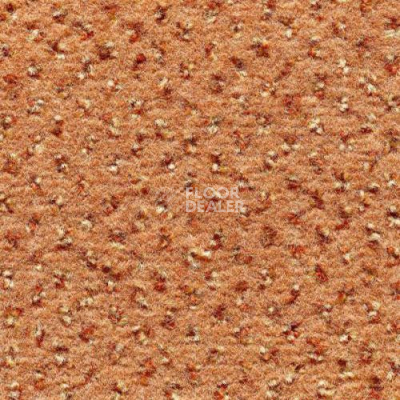 Ковролин Condor Carpets Argus 204 фото 1 | FLOORDEALER