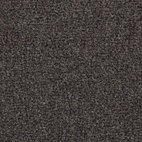 Ковролин Balsan Majestic 788 фото 1 | FLOORDEALER