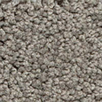 Ковролин Girloon Body1 861 фото 1 | FLOORDEALER