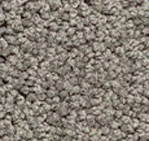 Ковролин Girloon Body1 861 фото 1 | FLOORDEALER