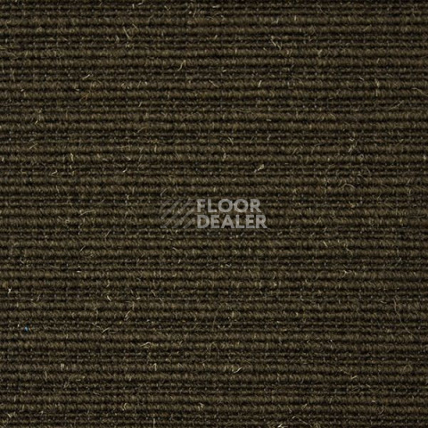 Ковролин Carpet Concept Eco Wool 596035 фото 1 | FLOORDEALER