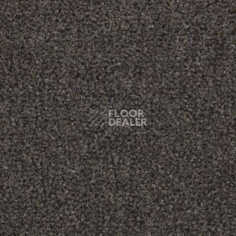 Ковролин Balsan Majestic 788 фото 1 | FLOORDEALER