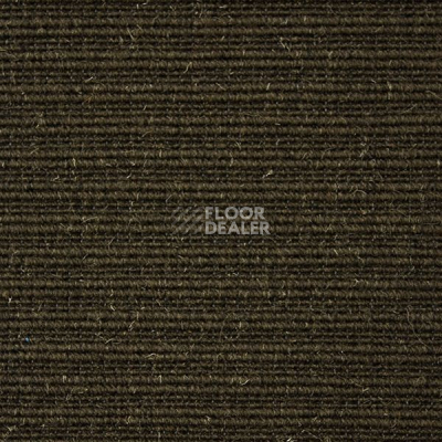 Ковролин Carpet Concept Eco Wool 596035 фото 1 | FLOORDEALER