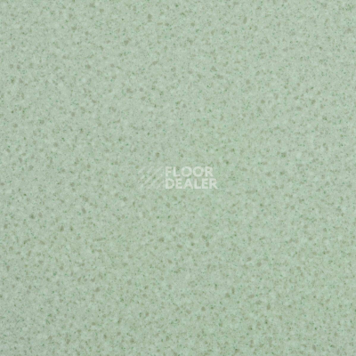 Линолеум Lg Trendy TD12401 фото 1 | FLOORDEALER