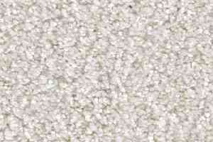 Ковролин Balsan Feelings 010 фото  | FLOORDEALER