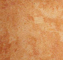 Линолеум Grabo Durity 4587-453 фото 1 | FLOORDEALER