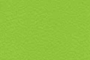 Линолеум Taraflex evolution Uni 6559_Spring фото  | FLOORDEALER