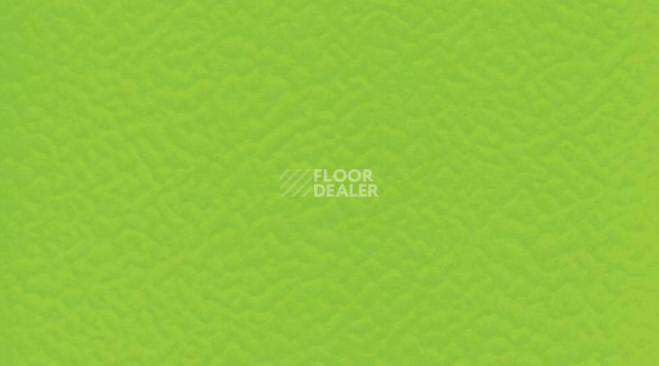 Линолеум Taraflex evolution Uni 6559_Spring фото 1 | FLOORDEALER