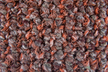 Desso AirMaster Reflection ac 58 2082 фото 4 | FLOORDEALER