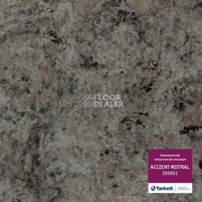 Линолеум Tarkett Acczent Mistral 200001 фото 1 | FLOORDEALER