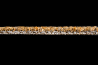 Desso Recharge ac 41 6022 фото 7 | FLOORDEALER