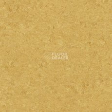 Линолеум Marmorette DLW 2.5mm 0072 Golden Yellow фото 1 | FLOORDEALER