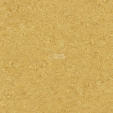 Marmorette DLW 2.5mm 0072 Golden Yellow фото 1 | FLOORDEALER