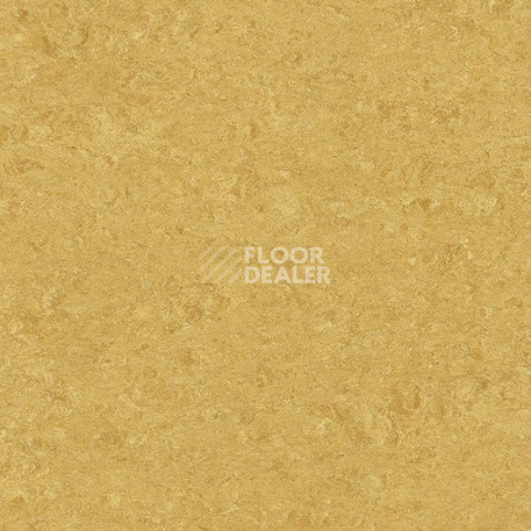 Линолеум Gerflor Marmorette DLW 2.5mm 0072 Golden Yellow фото 1 | FLOORDEALER