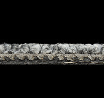 AW Maxima 90 фото 6 | FLOORDEALER