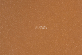 Forbo Marmoleum Solid Walton 3370-337035 terracotta фото 1 | FLOORDEALER