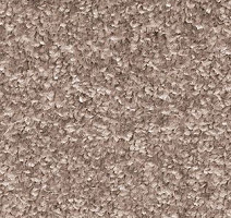 Ковролин AW Gala Equator 49 фото 1 | FLOORDEALER