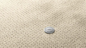 Ковролин Vorwerk Superior 1071 Vorwerk 8k32 фото 1 | FLOORDEALER