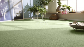 Vorwerk Essential 1008 Vorwerk 4f93 фото 4 | FLOORDEALER