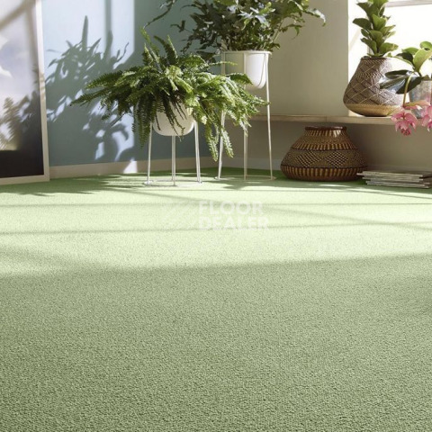 Vorwerk Essential 1008 Vorwerk 4f93 фото 4 | FLOORDEALER