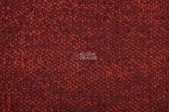 Haima Coral 36 фото 2 | FLOORDEALER