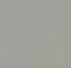 Линолеум Forbo Marmoleum Decibel on Order 337135 cement фото 1 | FLOORDEALER